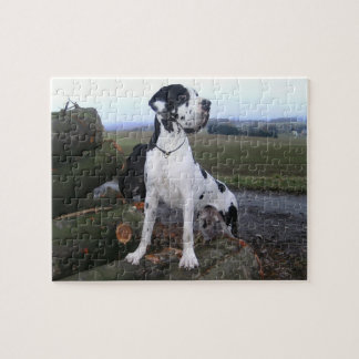 Puzzle Dogge allemand, Great Dane, chiens, Dogue Allemand