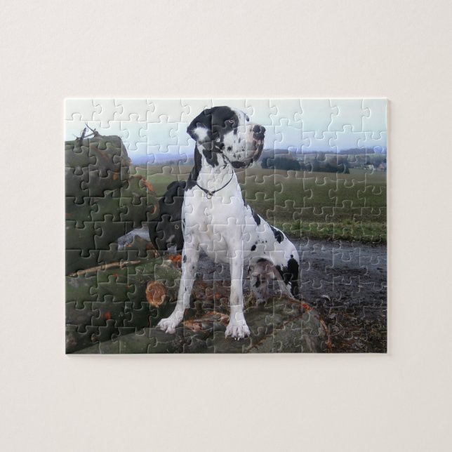 Puzzle Dogge allemand, Great Dane, chiens, Dogue Allemand (Horizontal)