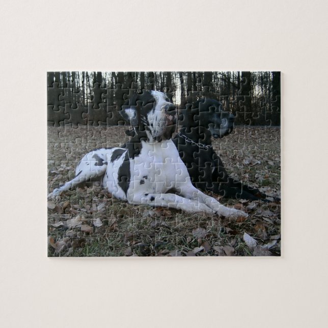 Puzzle Dogge allemand, Great Dane, chiens, Dogue Allemand (Horizontal)