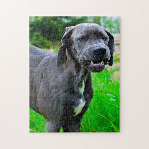 Puzzle Dogue allemand.
