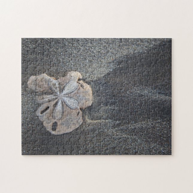 Puzzle Dollar des sables sur le sable (Horizontal)