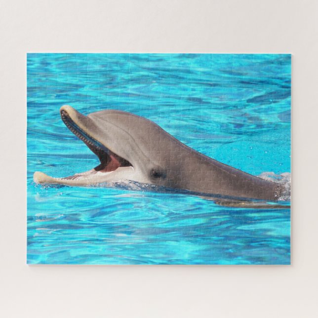 Puzzle Dolphin Jigsaw (Horizontal)