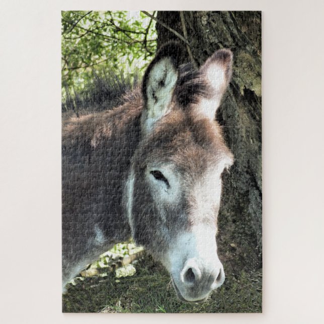 PUZZLE DONKEY (Vertical)