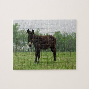 Puzzle Donkey Jigsaw