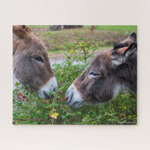Puzzle Donkeys, 520pcs,