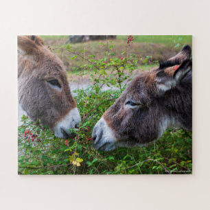 Puzzle Donkeys, kids, 56 pieces,