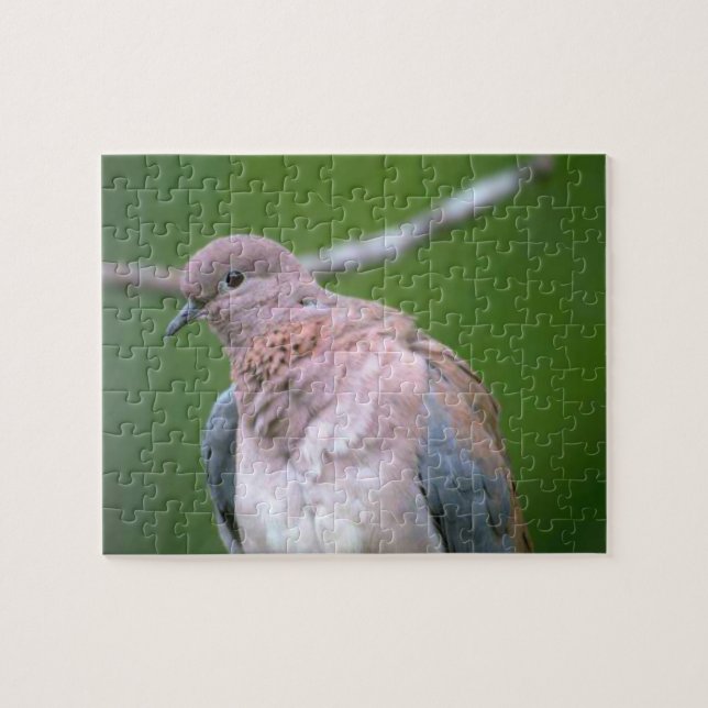 Puzzle Dove Bird (Horizontal)