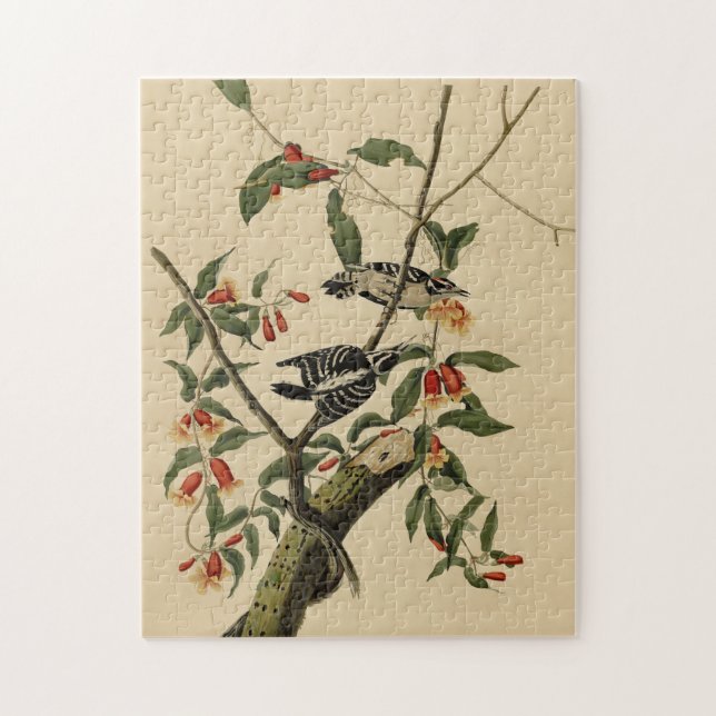 Puzzle Downy Woodpecker - de Audubon's Birds of America (Vertical)