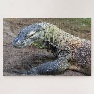Puzzle dragon de komodo