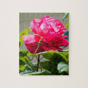 Puzzle Dragonfly assise sur la fleur de rose rouge