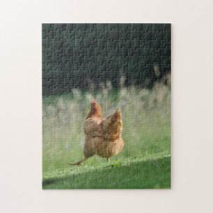 Puzzle Drôle Courir Poulet Cute Animaux de ferme Photo