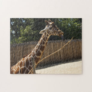 Puzzle drôle de girafe