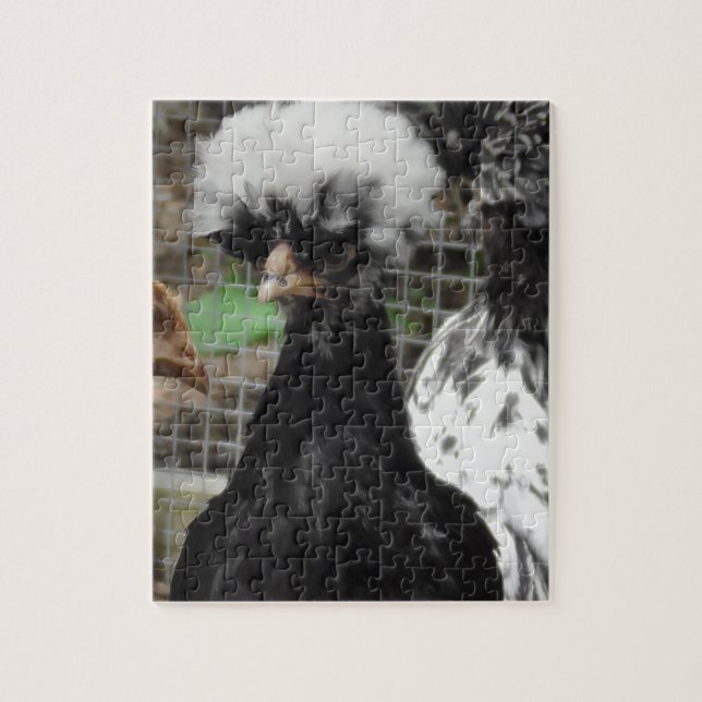 Puzzle Drôle poulet polonais gros photo (Vertical)