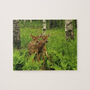 Puzzle du Faon