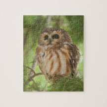 Du nord Scie-affûtez le hibou