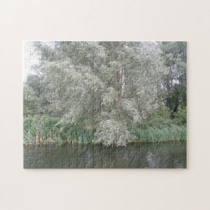 Puzzle du paysage de l'arbre blanc et de la rivièr