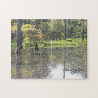 Puzzle du sud-est du Texas