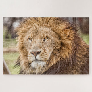 Puzzle du visage Lion grand