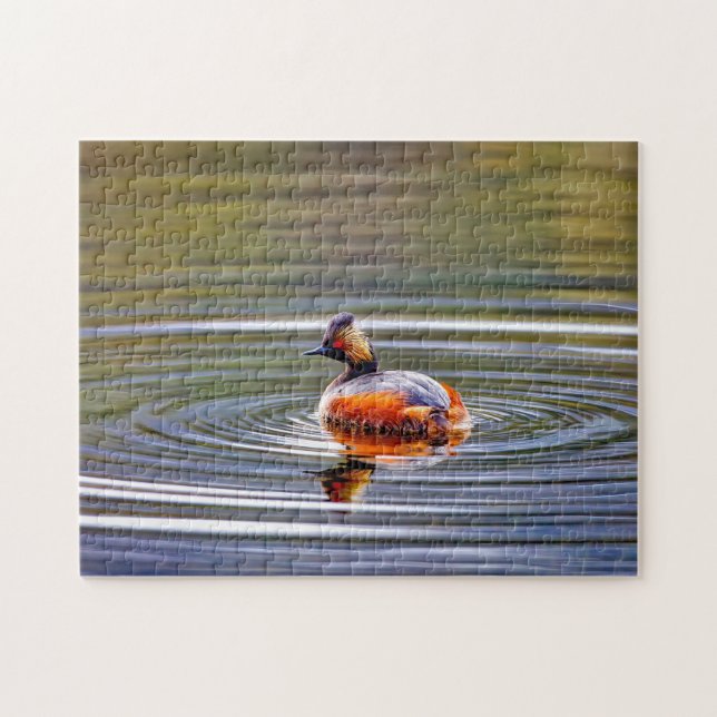 Puzzle Eared Grebe Montana. (Horizontal)