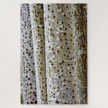 Écorce d'arbre 10, 20x30inches, 1014 morceaux