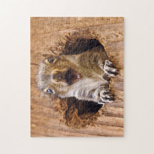 Puzzle Écureuil choqué