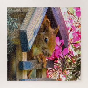 Puzzle Écureuil dans une maison d'oiseau