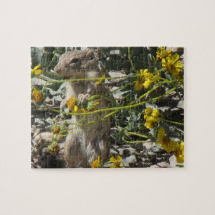 Puzzle Écureuil de terre faune