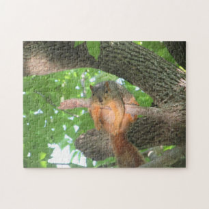 Puzzle Écureuil drôle juste suspendu dans l'arbre