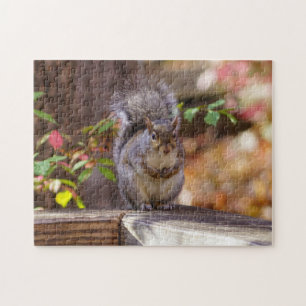 Puzzle Écureuil mendiant