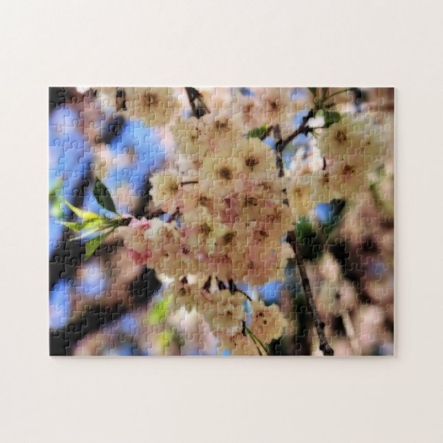 Puzzle Effet Orton Fleur Fleur Rose Spring Blossoms (Horizontal)
