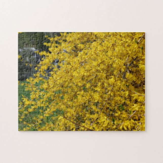 Puzzle Effet Orton Fleurs Forsythia Jaunes (Horizontal)