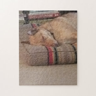Puzzle eines Fotos meines Hundes, Hella :)