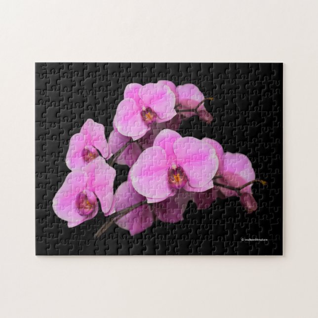 Puzzle Élégant orchidées roses Phalaenopsis sur noir (Horizontal)