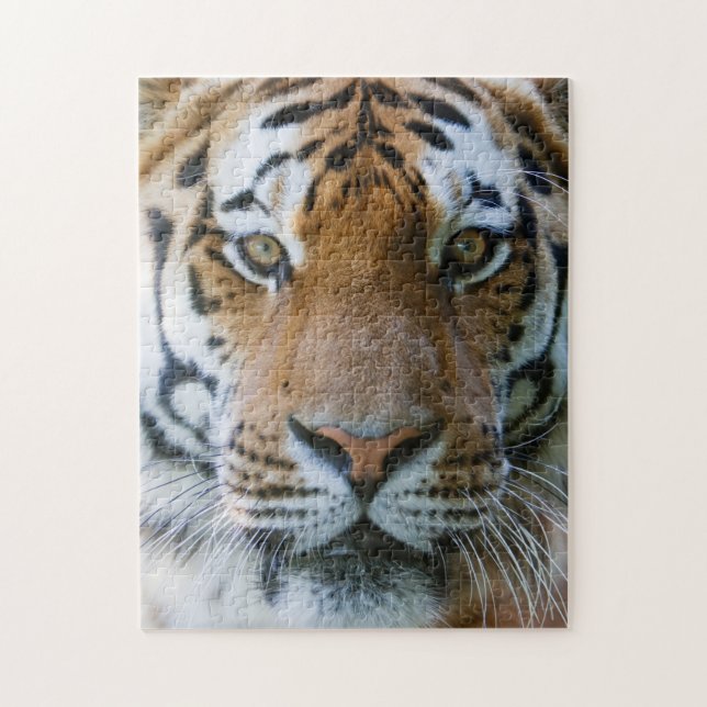 Puzzle Élégant portrait de tigre (Vertical)