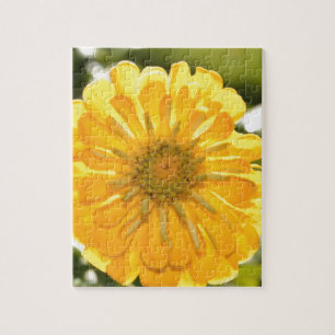 Puzzle Élégante marguerite fleurie jaune