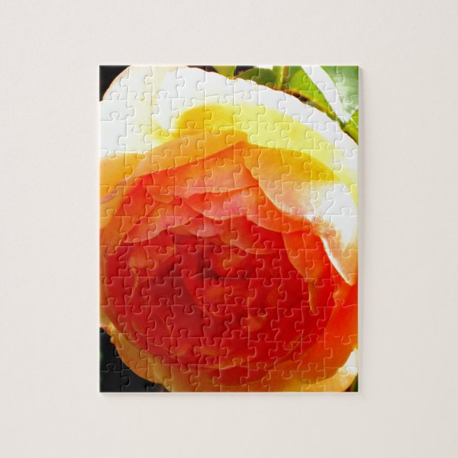 Puzzle Elégante pêche jaune rose floral d'abricot rouge (Vertical)