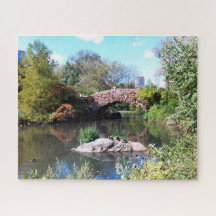 Élément d'eau Central Park New York