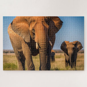 Puzzle Eléphant mère et bébé