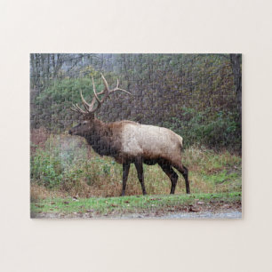 Puzzle Elk