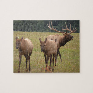 Puzzle Elk