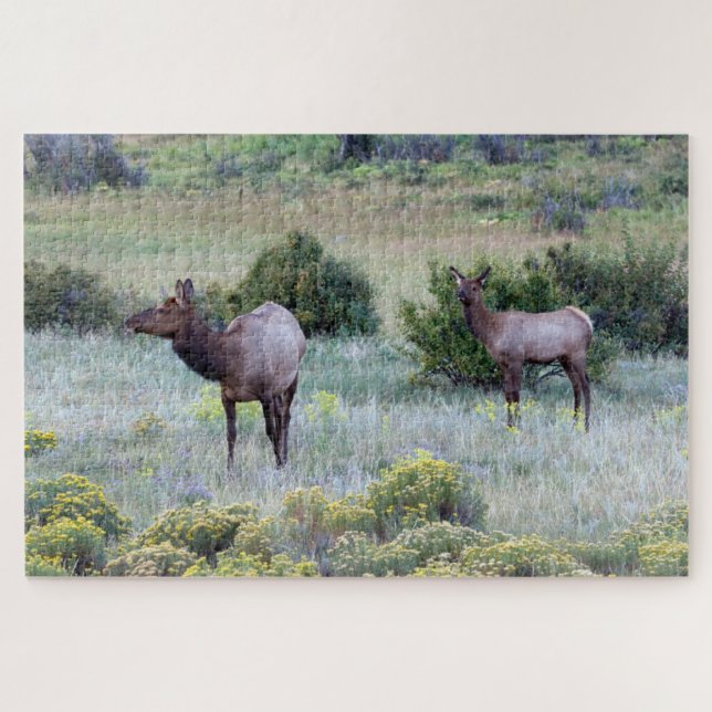 Puzzle Elk américain | Colorado (Horizontal)