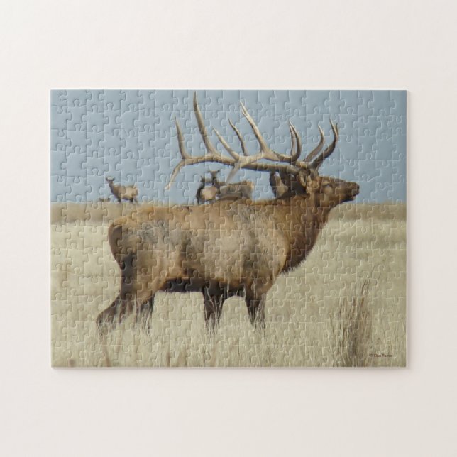 Puzzle Elk taureau E4 (Horizontal)