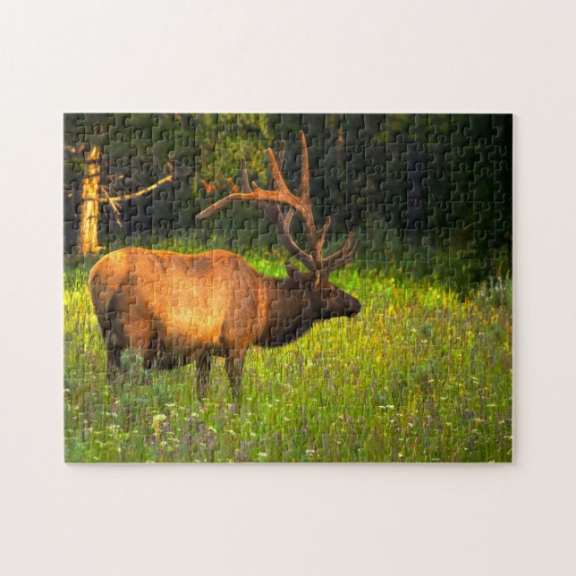 Puzzle Elk Yellowstone Montana. (Horizontal)