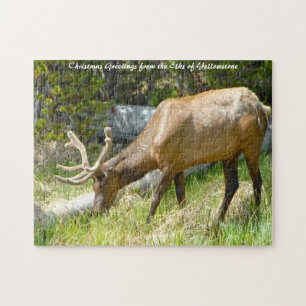 Puzzle Elk Yellowstone Montana. Vœux de Noël
