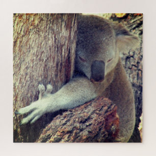 Puzzle embrassades koala