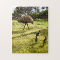 Emu Neighborhood Watch,