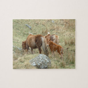 Puzzle England & Dartmoor Ponnies, Wild Horses /Britain