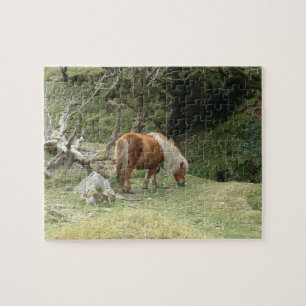 Puzzle England & Dartmoor Ponny, Wild Horses /Britain