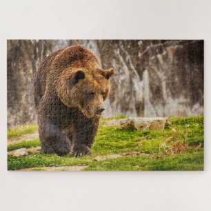 Puzzle Énorme ours grizzly dans l'animal sauvage