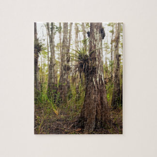 Puzzle Epiphyte Bromeliad dans la forêt de la Floride